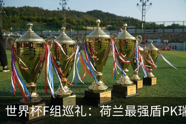 世界杯F组巡礼：荷兰最强盾PK瑞典犀利刀 日本短板明显